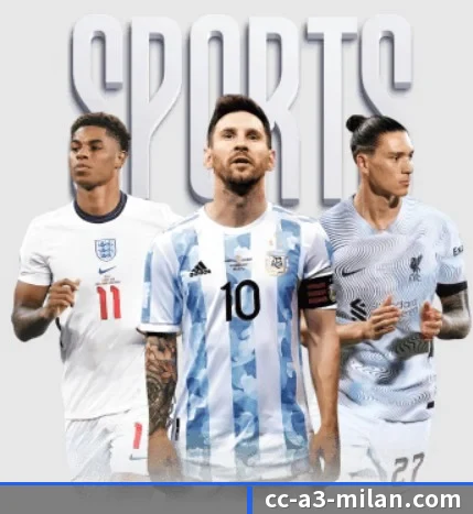 五大服务分区,信息按项目分类(ACMILAN)